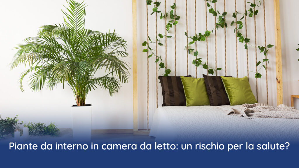piante da interno